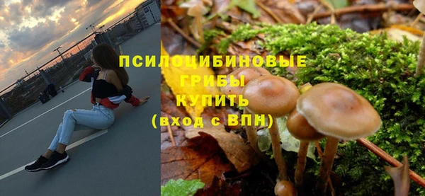 мяу мяу мука Долгопрудный