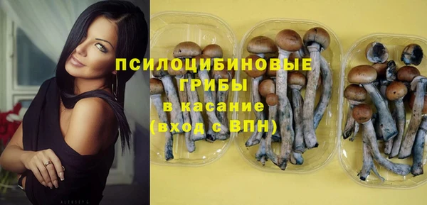 твердый Алексеевка