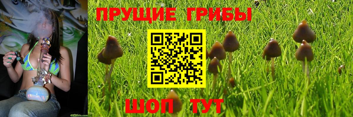 Псилоцибиновые грибы ЛСД  Вход с VPN  Анжеро-Судженск 