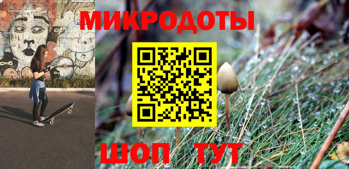 Галлюциногенные грибы Cubensis Анжеро-Судженск